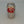 Can of Soda